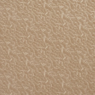 Charlotte Fabrics 8059 Oat Oat