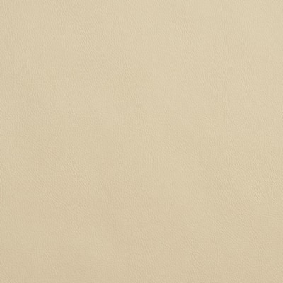 Charlotte Fabrics 8065 Ivory  Ivory 