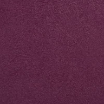 Charlotte Fabrics 8067 Plum  Plum 
