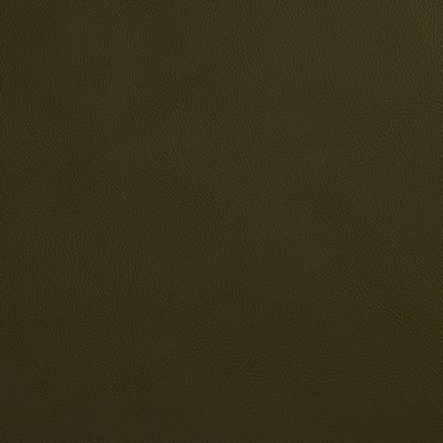 Charlotte Fabrics 8068 Hunter  Hunter 