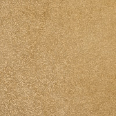 Charlotte Fabrics 8069 Gold  Gold 