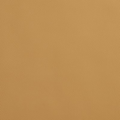 Charlotte Fabrics 8072 Camel  Camel 