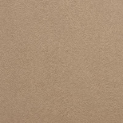 Charlotte Fabrics 8075 Sandstone  Sandstone 