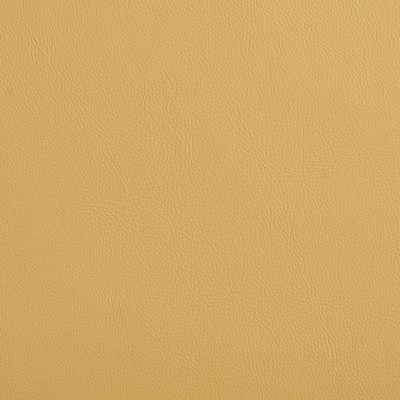 Charlotte Fabrics 8077 Desert  Desert 