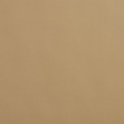 Charlotte Fabrics 8079 Sandalwood  Sandalwood 