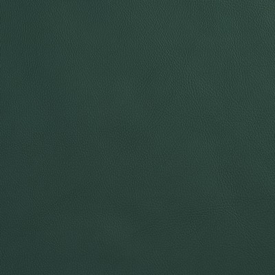 Charlotte Fabrics 8080 Spruce  Spruce 