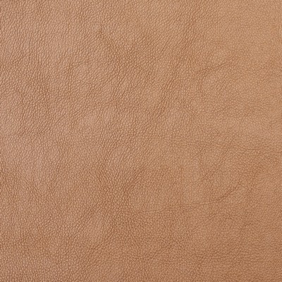 Charlotte Fabrics 8081 Copper  Copper 