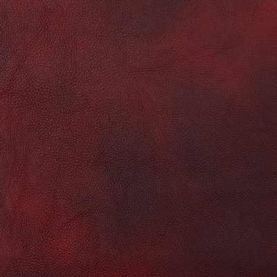 Charlotte Fabrics 8083 Burgundy  Burgundy 