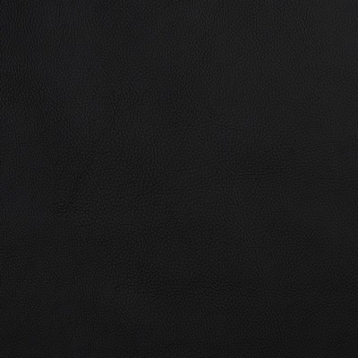Charlotte Fabrics 8084 Ebony  Ebony 