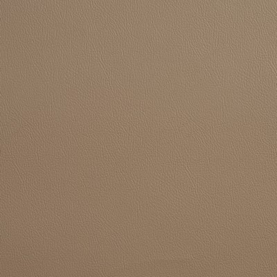 Charlotte Fabrics 8089 Pebble