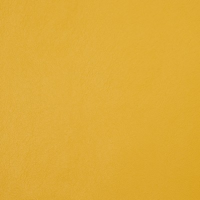 Charlotte Fabrics 8091 Canary