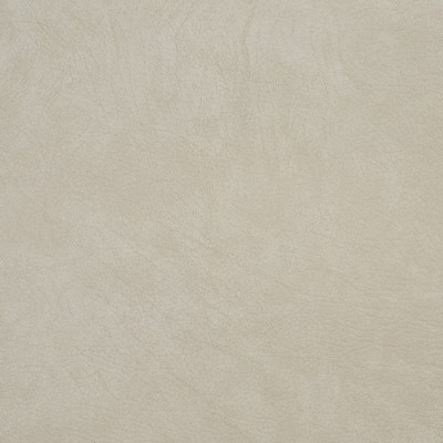 Charlotte Fabrics 8093 Beige