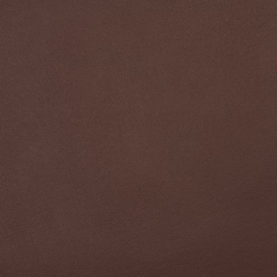 Charlotte Fabrics 8095 Walnut Walnut