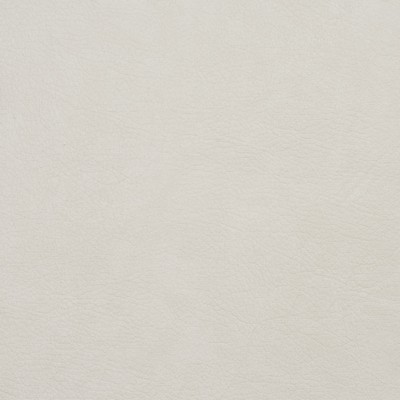 Charlotte Fabrics 8096 Ivory Ivory