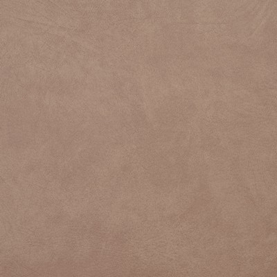 Charlotte Fabrics 8098 Taupe Taupe