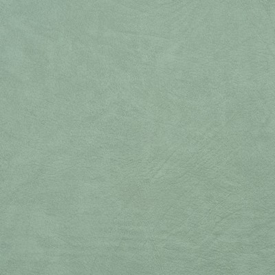 Charlotte Fabrics 8100 Mint Mint