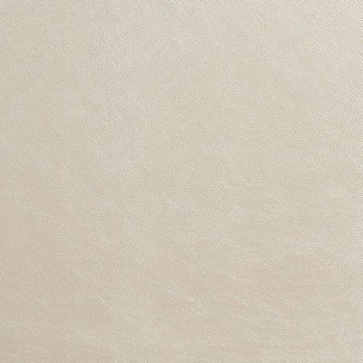 Charlotte Fabrics 8200 Aluminum Aluminum