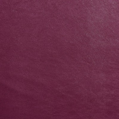 Charlotte Fabrics 8204 Mulberry Mulberry