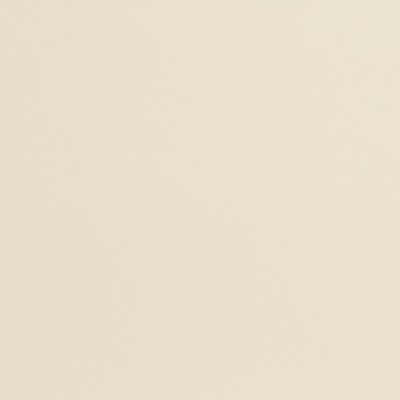 Charlotte Fabrics 8207 Bone Bone