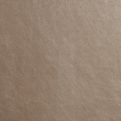 Charlotte Fabrics 8208 Electrum Electrum