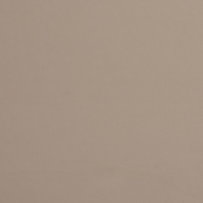 Charlotte Fabrics 8210 Taupe Taupe