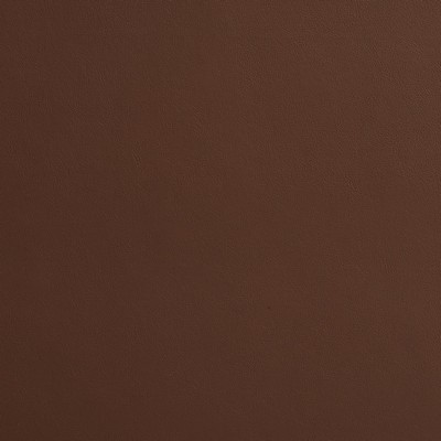 Charlotte Fabrics 8212 Mocha Mocha