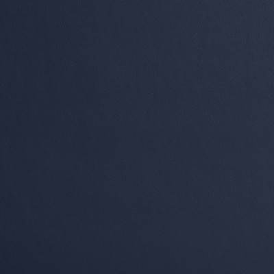 Charlotte Fabrics 8213 Navy Navy