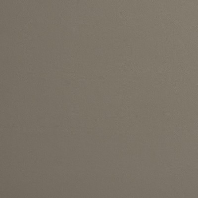 Charlotte Fabrics 8214 Pewter Pewter