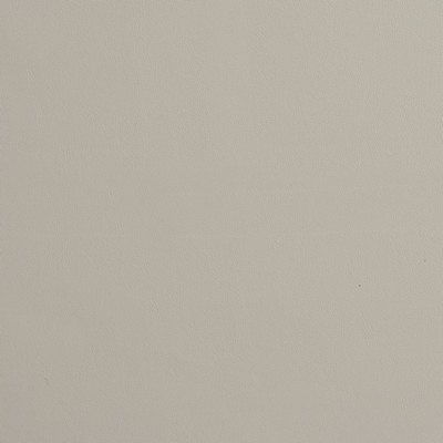 Charlotte Fabrics 8216 Pebble Pebble