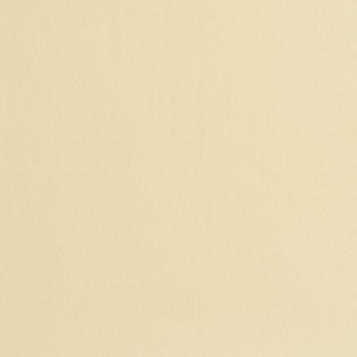Charlotte Fabrics 8217 Cream Cream