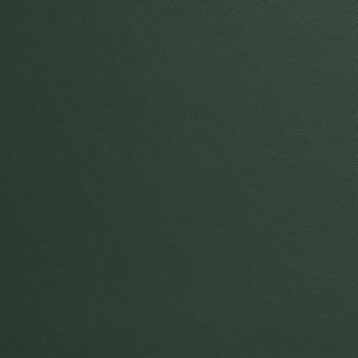 Charlotte Fabrics 8218 Spruce Spruce