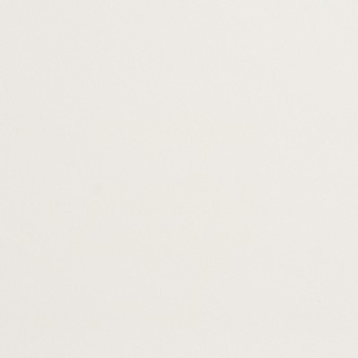 Charlotte Fabrics 8219 White White