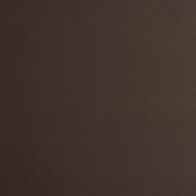 Charlotte Fabrics 8224 Chocolate Chocolate