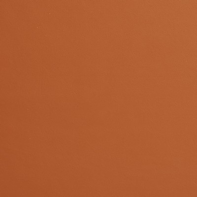 Charlotte Fabrics 8225 Terra Cotta Terra Cotta