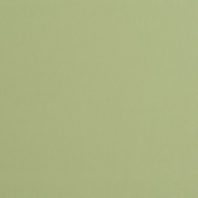 Charlotte Fabrics 8226 Mint Mint