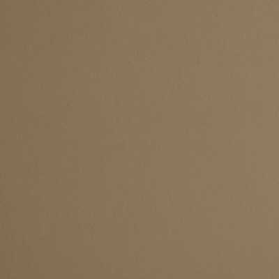 Charlotte Fabrics 8227 Sandstone Sandstone