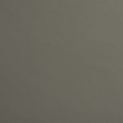 Charlotte Fabrics 8229 Metal Metal