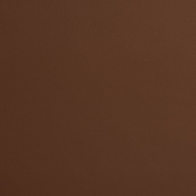 Charlotte Fabrics 8230 Pecan Pecan