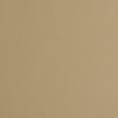 Charlotte Fabrics 8231 Sand Sand