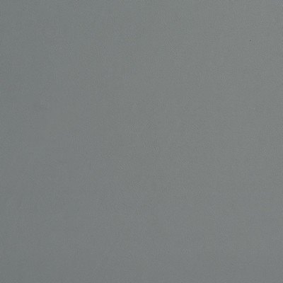 Charlotte Fabrics 8234 Shark Shark