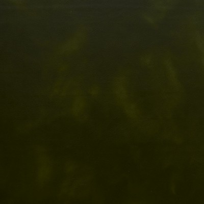 Charlotte Fabrics 8236 Army Army