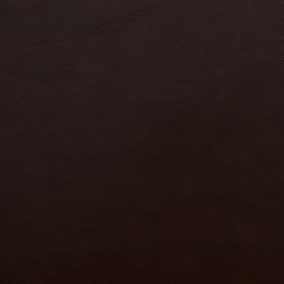 Charlotte Fabrics 8238 Espresso Espresso