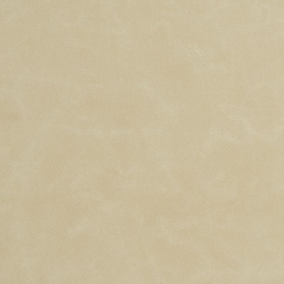 Charlotte Fabrics 8240 Bisque Bisque