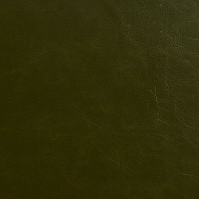 Charlotte Fabrics 8241 Moss Moss