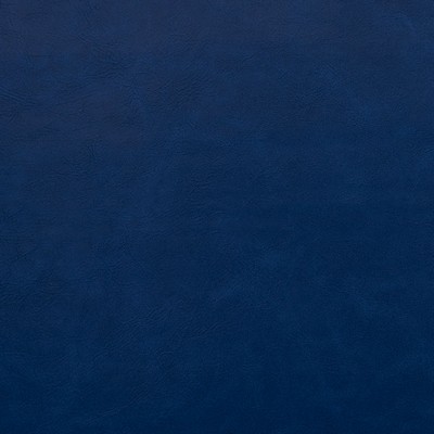 Charlotte Fabrics 8242 Royal Royal