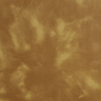 Charlotte Fabrics 8244 Honey Honey