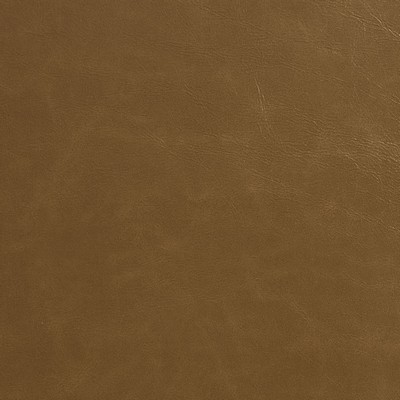 Charlotte Fabrics 8246 Latte Latte