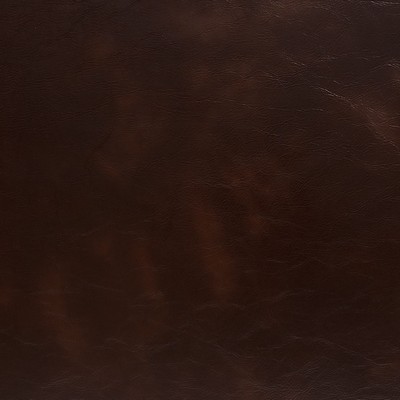 Charlotte Fabrics 8247 Hickory Hickory