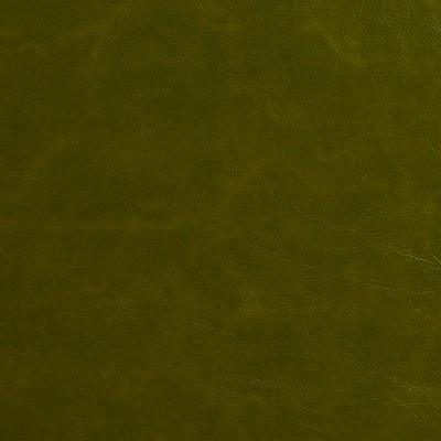 Charlotte Fabrics 8252 Moss Fern