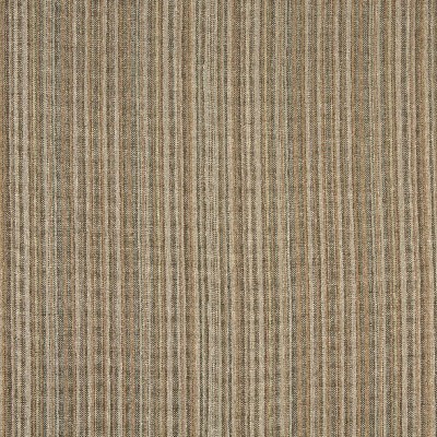Charlotte Fabrics 8332 Desert Stripe